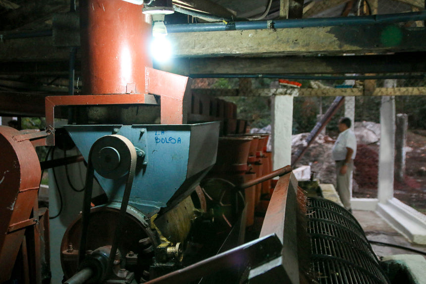 Guatemala | Finca La Bolsa