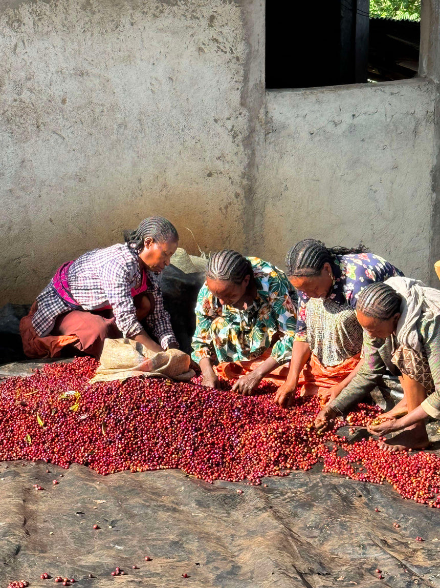 Ethiopia | Haru Suke